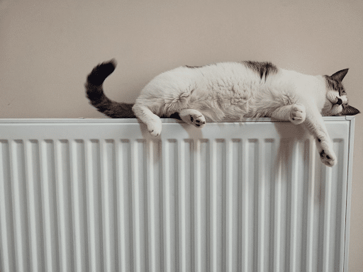 Warm home radiator providing cozy indoor heating during Colorado winter
